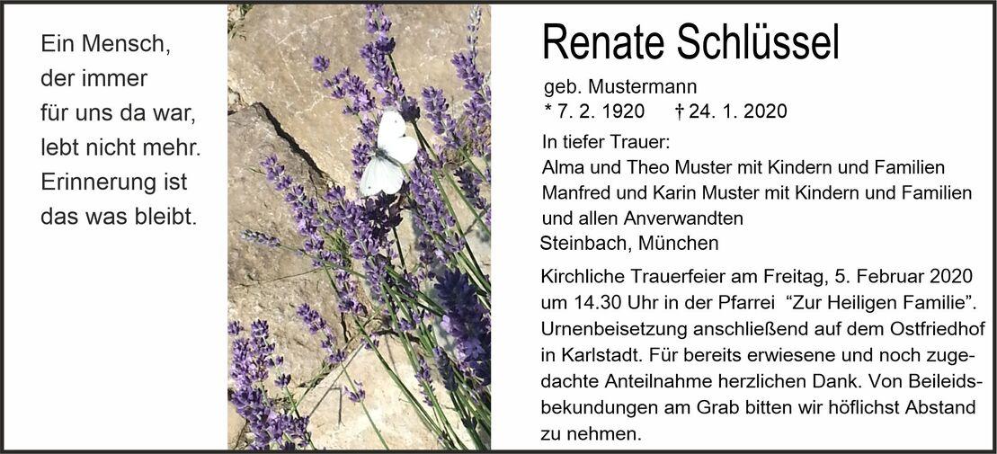 Schmetterling sitzt auf lila Lavendelblüten vor einem steinigen Hintergrund, umgeben von frischem Gras.